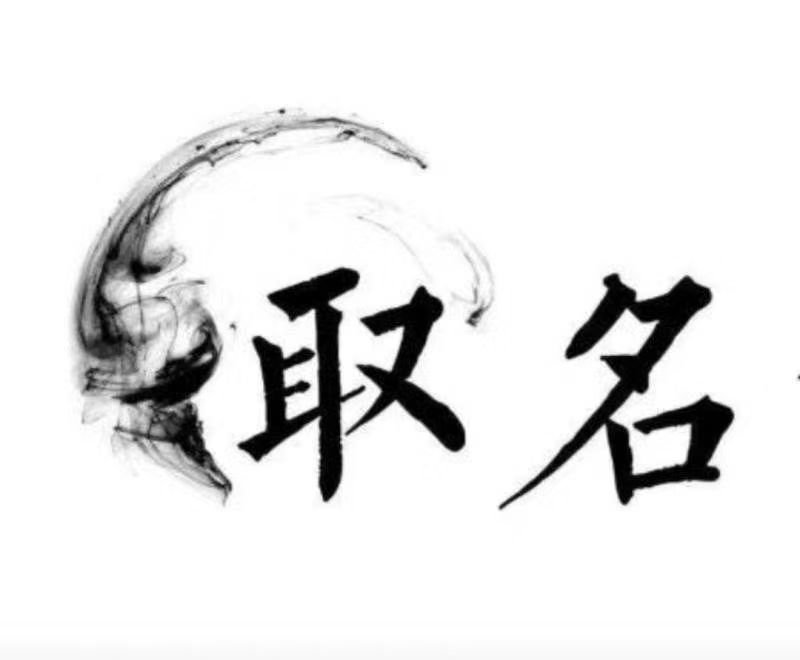  噶尔宝宝取名 大师一对一人工起名